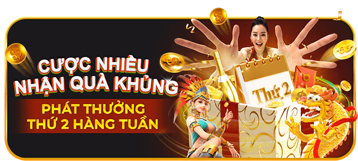 Hình ảnh hoàn trả hàng ngày/tuần