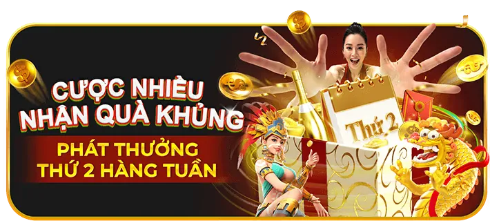 Hình ảnh hoàn trả hàng ngày/tuần