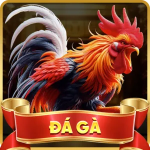 Cá cược Thể Thao Kubet
